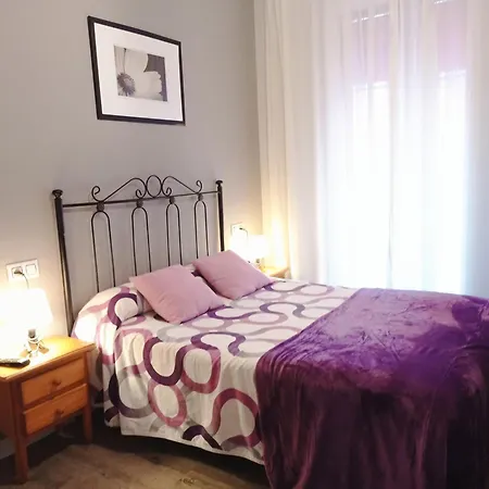 Don Pelayo ゲストハウス ヒホン