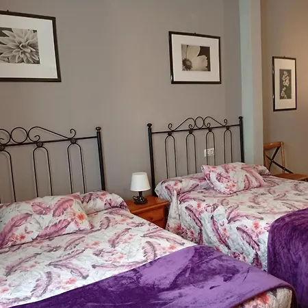 Don Pelayo Guest house