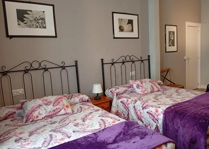 Don Pelayo Guest house